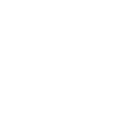 Hỗ trợ chia Đội/Bảng